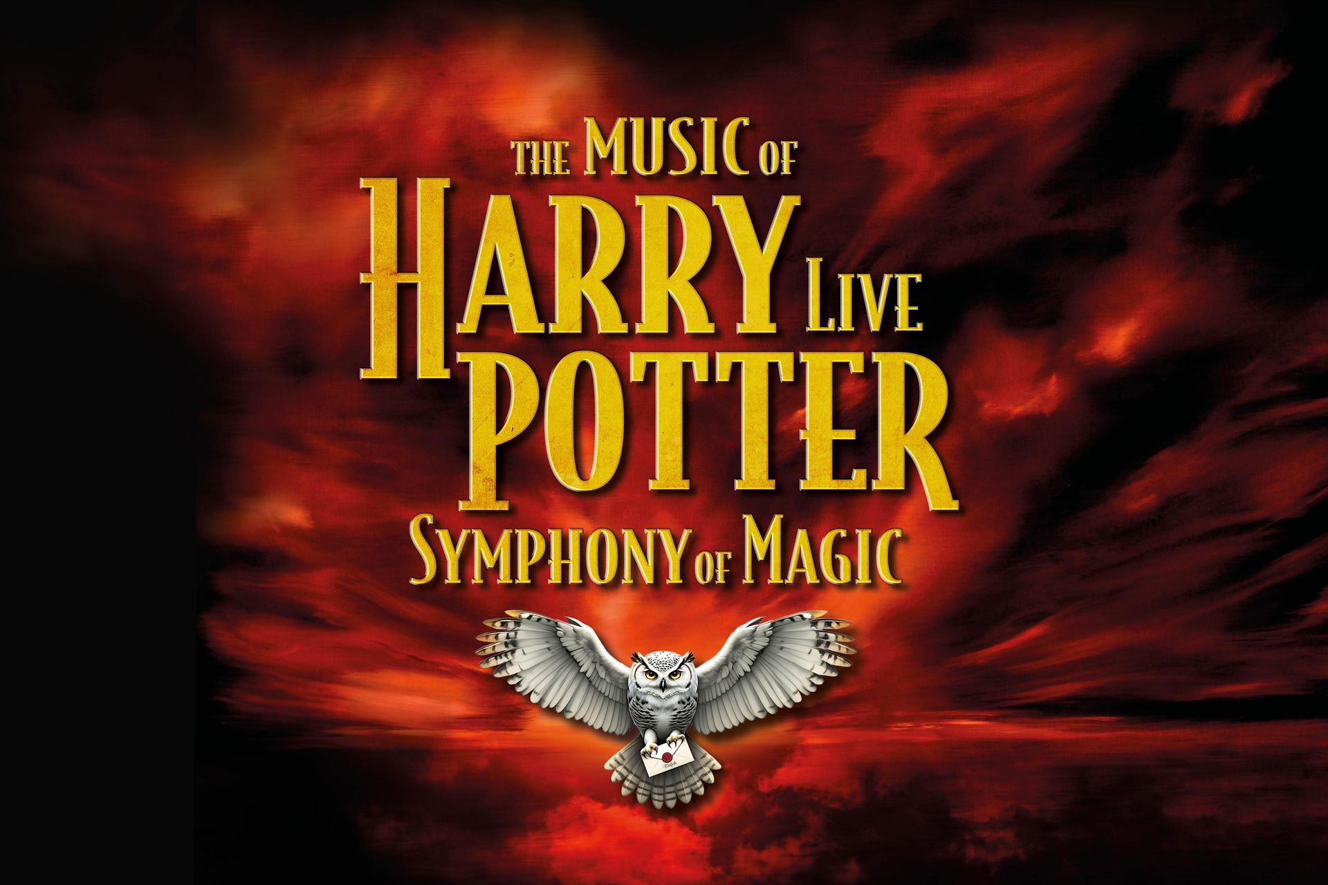 Harry Potter Symphony poster