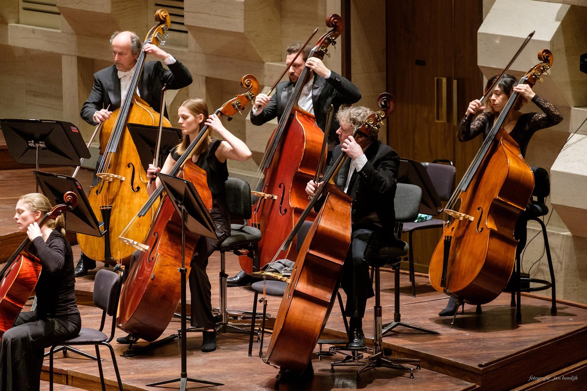 Sinfonia Rotterdam performs on stage