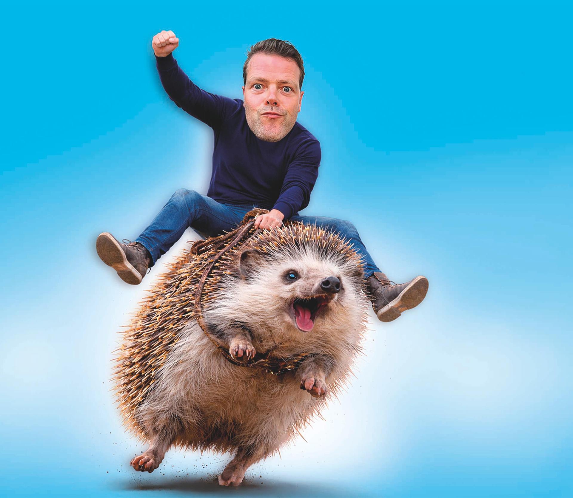 Martijn Koning - Overprikkeld