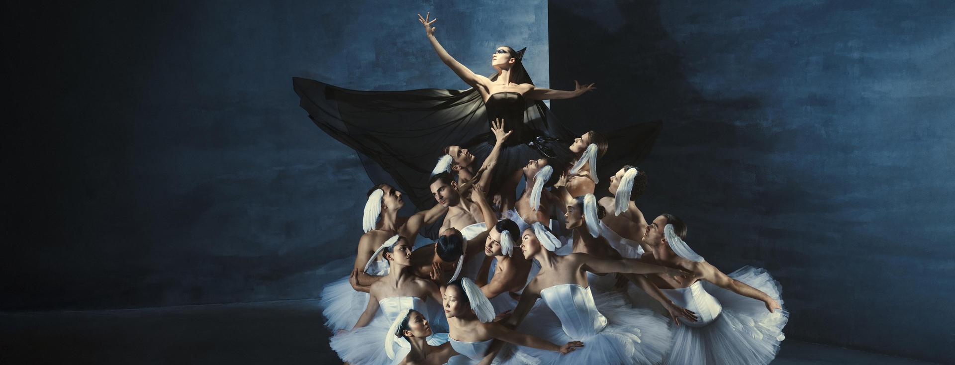 Campaign image Swan Lake Introdans