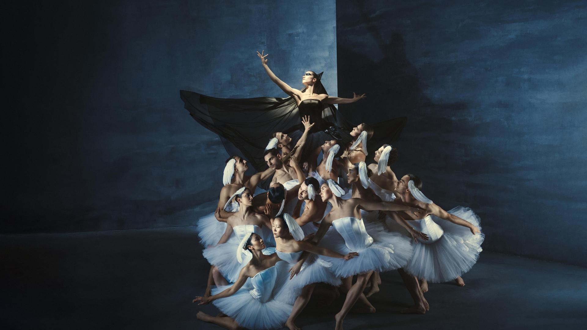 Campaign image Swan Lake Introdans