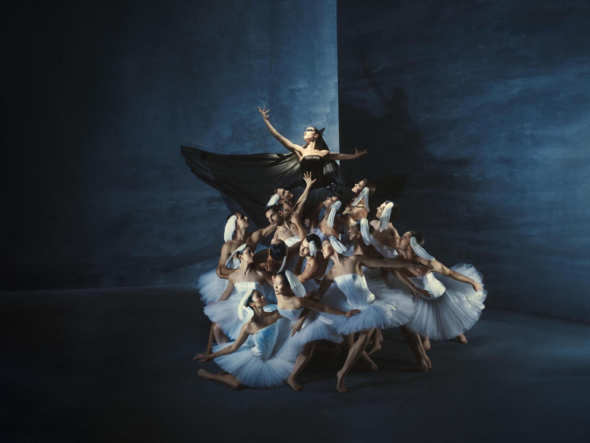 Campagnebeeld Swan Lake introdans