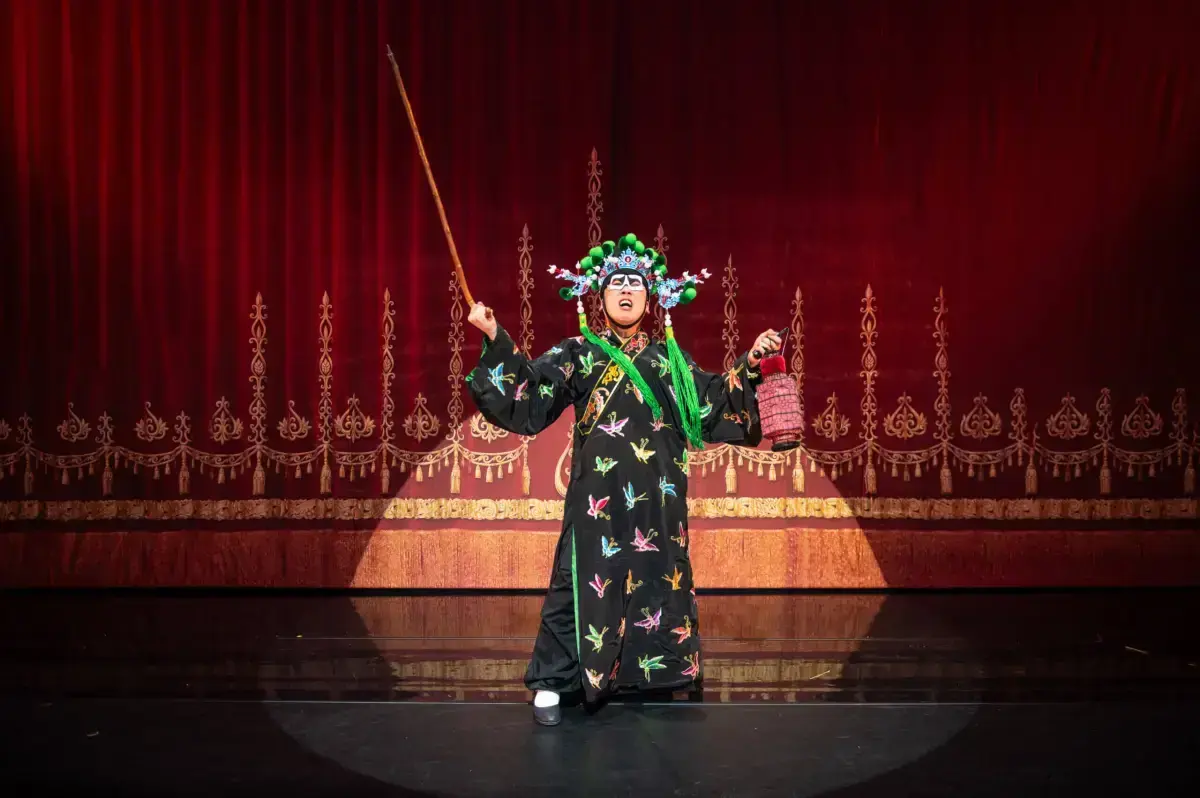 Scenefoto's Madame Butterfly