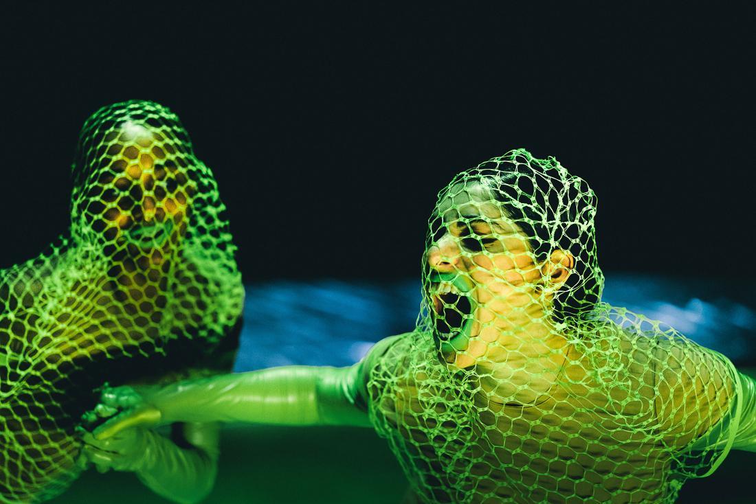 Oude dansfoto's NDT